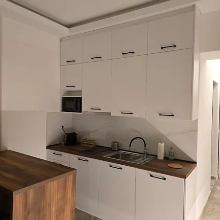 Apartment Slavija *